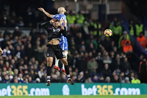 Brighton and Hove Albion vs. Crystal Palace: A Premier League Showdown at American Express Community Stadium (November 2017)