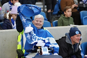 Brighton and Hove Albion vs. Liverpool: Premier League Showdown at American Express Community Stadium (02DEC17)