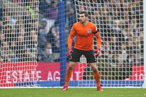 Brighton and Hove Albion vs. Chelsea: Premier League Battle at American Express Community Stadium (January 2018)