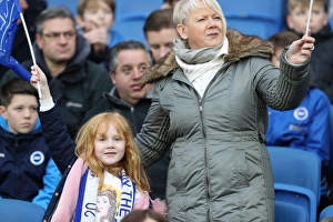 Brighton and Hove Albion vs. West Ham United: Premier League Battle at American Express Community Stadium (3rd February 2018)