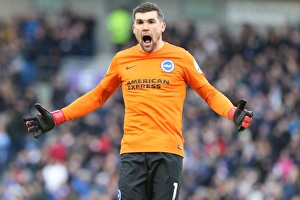 Brighton and Hove Albion vs. West Ham United: Premier League Showdown at American Express Community Stadium (03FEB18)