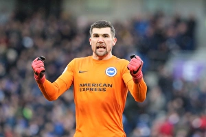 Brighton and Hove Albion vs. West Ham United: A Premier League Clash at American Express Community Stadium (3rd February 2018)