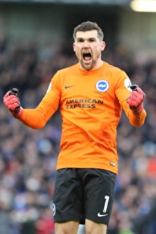Brighton and Hove Albion vs. West Ham United: Premier League Showdown at American Express Community Stadium (03FEB18)