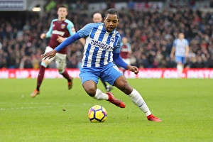 Brighton and Hove Albion vs. West Ham United: Premier League Showdown at American Express Community Stadium (03FEB18)