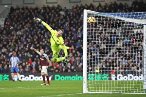 Brighton and Hove Albion vs. West Ham United: Premier League Showdown at American Express Community Stadium (3rd February 2018)