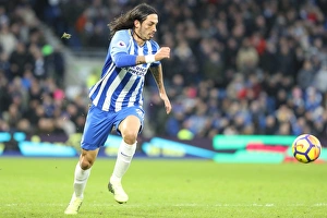 Brighton and Hove Albion vs. West Ham United: A Premier League Clash at American Express Community Stadium (3rd February 2018)