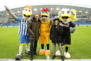 Brighton and Hove Albion vs. West Ham United: A Premier League Clash at American Express Community Stadium (3rd February 2018)