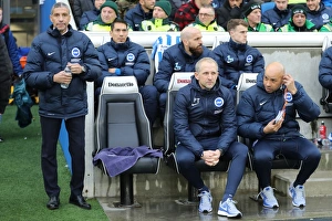 Brighton and Hove Albion vs. West Ham United: Premier League Showdown at American Express Community Stadium (3rd February 2018)