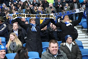 Brighton and Hove Albion vs. West Ham United: Premier League Showdown at American Express Community Stadium (3rd February 2018)