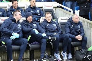 Brighton and Hove Albion vs. West Ham United: A Premier League Clash at American Express Community Stadium (3rd February 2018)