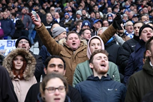 Brighton and Hove Albion vs. West Ham United: A Premier League Clash at American Express Community Stadium (3rd February 2018)