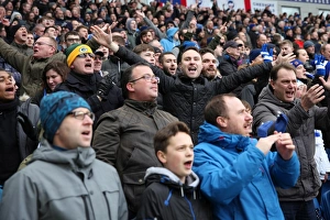 Brighton and Hove Albion vs. West Ham United: A Premier League Clash at American Express Community Stadium (3rd February 2018)