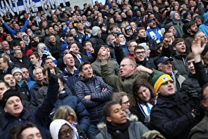 Brighton and Hove Albion vs. West Ham United: A Premier League Clash at American Express Community Stadium (3rd February 2018)