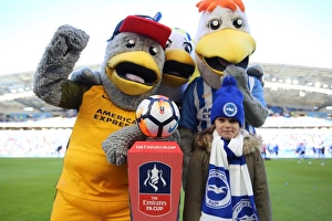 Brighton and Hove Albion vs. Coventry City: FA Cup 5th Round Battle at American Express Community Stadium (17FEB18)