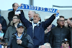 Brighton and Hove Albion vs. Coventry City: FA Cup 5th Round Battle at American Express Community Stadium (17FEB18)