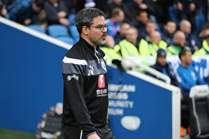 Brighton and Hove Albion vs. Huddersfield Town: Premier League Battle at American Express Community Stadium (07APR18)