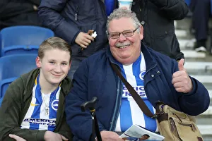 Brighton and Hove Albion vs. Tottenham Hotspur: Premier League Showdown at American Express Community Stadium (17APR18)