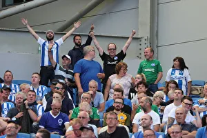 Brighton and Hove Albion vs. Fulham: Premier League Showdown at American Express Community Stadium (September 1, 2018)