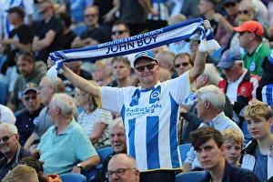 Brighton and Hove Albion vs. Fulham: Premier League Showdown at American Express Community Stadium (September 1, 2018)