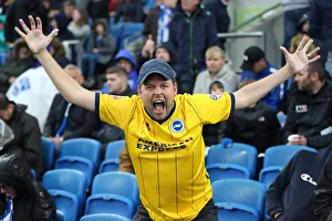 Tottenham Hotspur 22SEP18 Prints: Brighton and Hove Albion vs. Tottenham Hotspur: Premier League Showdown at American Express Community Stadium (22SEP18)