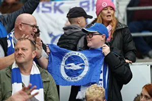 Brighton and Hove Albion vs. Tottenham Hotspur: Premier League Showdown at American Express Community Stadium (22SEP18)