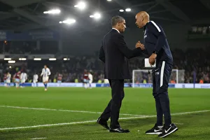 Brighton and Hove Albion vs. West Ham United: Premier League Showdown at American Express Community Stadium (5th October 2018)