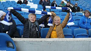 Brighton and Hove Albion vs. Wolverhampton Wanderers: A Premier League Showdown at American Express Community Stadium (October 26, 2018)