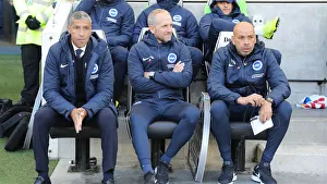 Brighton and Hove Albion vs. Wolverhampton Wanderers: A Premier League Showdown at American Express Community Stadium (October 26, 2018)