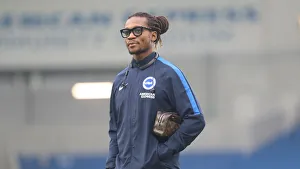 Brighton and Hove Albion vs. Leicester City: Premier League Showdown at American Express Community Stadium (November 24, 2018)