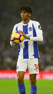 Brighton and Hove Albion vs. Leicester City: Premier League Showdown at American Express Community Stadium (November 2018)