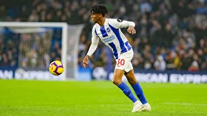 Brighton and Hove Albion vs. Leicester City: Premier League Showdown at American Express Community Stadium (November 24, 2018)