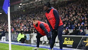 Brighton and Hove Albion vs. Leicester City: Premier League Showdown at American Express Community Stadium (November 2018)