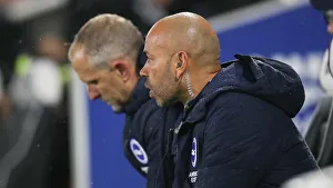 Brighton and Hove Albion vs. Leicester City: Premier League Showdown at American Express Community Stadium (November 2018)
