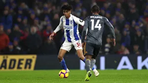 Brighton and Hove Albion vs. Leicester City: Premier League Showdown at American Express Community Stadium (November 2018)