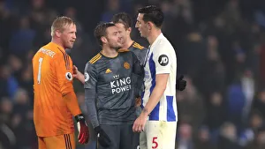 Brighton and Hove Albion vs. Leicester City: Premier League Showdown at American Express Community Stadium (November 2018)