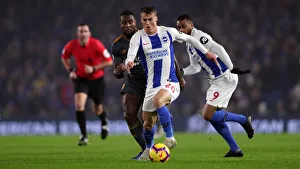 Brighton and Hove Albion vs. Leicester City: Premier League Clash at American Express Community Stadium (November 2018)