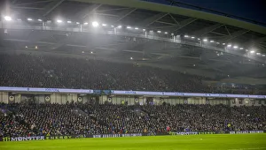 Brighton and Hove Albion vs. Leicester City: Premier League Showdown at American Express Community Stadium (November 2018)