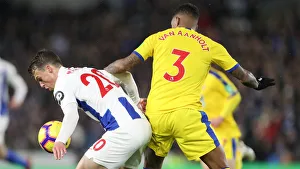 Brighton and Hove Albion vs. Crystal Palace: A Premier League Showdown at American Express Community Stadium (December 4, 2018)