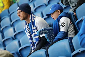 Brighton and Hove Albion vs. Everton: Premier League Showdown at American Express Community Stadium (29DEC18)