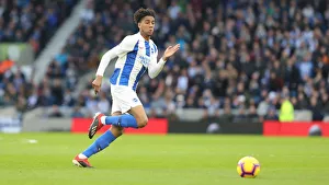 Brighton and Hove Albion vs. Everton: Premier League Showdown at American Express Community Stadium (29DEC18)