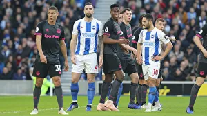 Brighton and Hove Albion vs. Everton: Premier League Showdown at American Express Community Stadium (29DEC18)