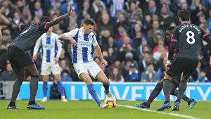Brighton and Hove Albion vs. Everton: Premier League Showdown at American Express Community Stadium (29DEC18)