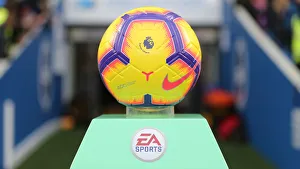 Brighton and Hove Albion vs. Everton: Premier League Showdown at American Express Community Stadium (29DEC18)