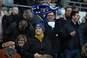 Brighton and Hove Albion vs. Everton: Premier League Showdown at American Express Community Stadium (29DEC18)
