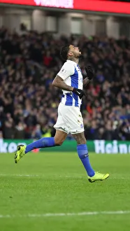Brighton and Hove Albion vs. Everton: Premier League Showdown at American Express Community Stadium (29DEC18)