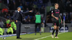 Brighton and Hove Albion vs. Everton: Premier League Showdown at American Express Community Stadium (29DEC18)