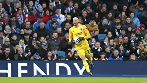 Brighton and Hove Albion vs. West Bromwich Albion: Emirates FA Cup Clash at American Express Community Stadium (January 2019)