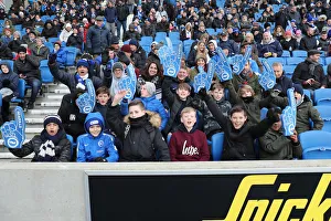 Brighton and Hove Albion vs. Watford: Premier League Showdown at American Express Community Stadium (02FEB19)