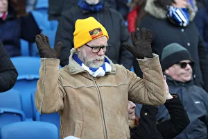 Brighton and Hove Albion vs. Watford: Premier League Showdown at American Express Community Stadium (02FEB19)