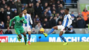 Brighton and Hove Albion vs. Watford: Premier League Showdown at American Express Community Stadium (02FEB19)